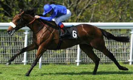 Rewilding : 4yo b.c. Tiger Hill - Darara (Top Ville)