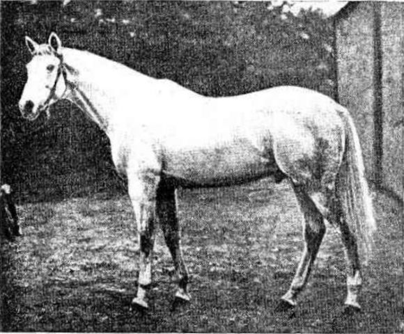 Palmiste (born 1894)