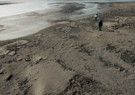 sands of time: Stray Dogs