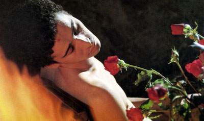 THE KING OF ROSES (Der Rosenkonig)